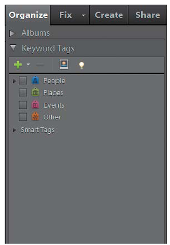 The Keyword Tags panel is in the Organize section. 