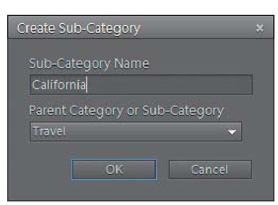 Creating a sub-category. 