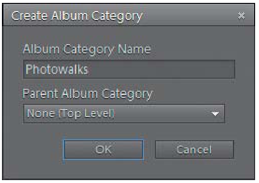 The Create Album Category options. 