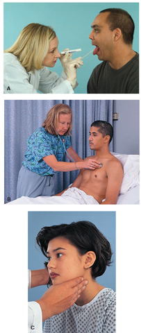  Techniques used in data collection. (A) Inspecting the mouth using a tongue blade and penlight. The nurse wears gloves for this procedure. (B) Auscultating the chest using the stethoscope. (C) Lightly palpating the throat using the fingertips. 