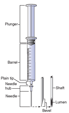 Parts of a syringe (plain tip) and needle.