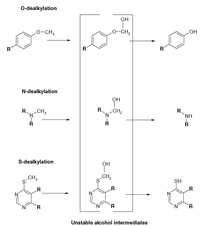 Rearrangement reactions caused by the CYP-mediated oxidation of an alkyl group leading to the formation of a more water-soluble product, which is also more vulnerable to Phase II. The ‘waste products’ of the reactions are usually small aldehydes or ketones