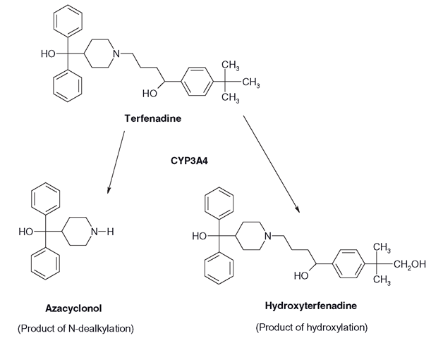 Metabolism of terfenadine: essentially the same oxidation reaction applied in two different areas of the molecule leads to vastly different effects on the structure