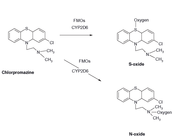 Sulphoxide and N-oxide formation with chlorpromazine, by either CYPs or FMOs