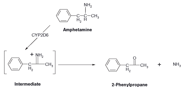 Oxidative deamination of amphetamine