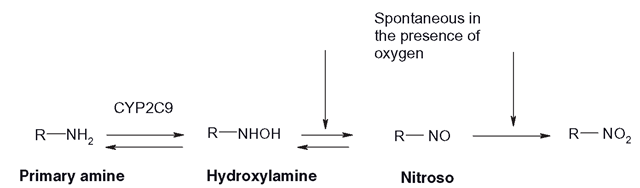 Primary amine oxidation
