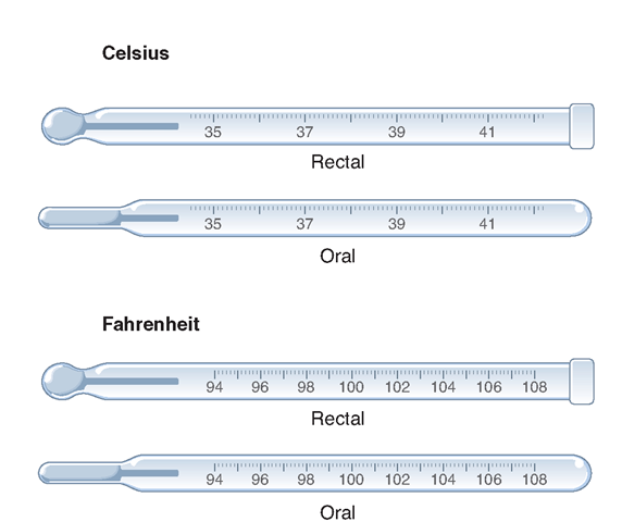 The glass thermometer may use alcohol to gauge temperature. Shown here are rectal and oral versions of the glass thermometer; calibrated in Celsius and Fahrenheit measurements. 