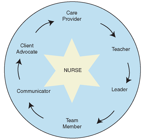 The roles of the nurse include, but are not limited to, care provider; communicator; teacher; advocate, leader; and team member 